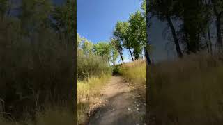 onewheel onewheelnation onewheelxr colorado moblife trailrider integrate ship destroyer [upl. by Everett]