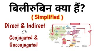 बिलीरुबिन क्या हैं Direct Bilirubin amp Indirect Bilirubin Conjugated amp Unconjugated Bilirubin [upl. by Bryon]