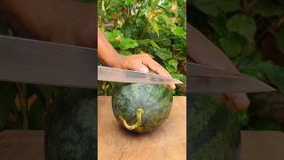 cool satisfying pink watermelon cutting satisfying shorts [upl. by Frederich796]