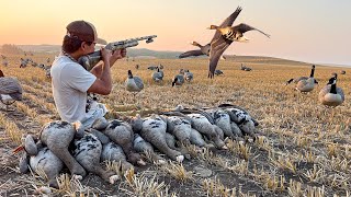 Our Best Early Season Specklebelly Goose Hunt Yet LIMITED OUT [upl. by Zetnauq]