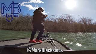 Lake Taneycomo Smallmouth Bass March 2024 Branson Mo [upl. by Barr]