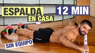 Rutina de Espalda En Casa 12 MIN Ejercicios Para Espalda Sin Pesas [upl. by Ahseryt26]