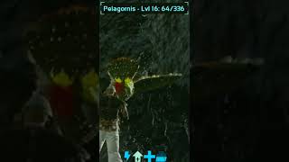 Pelagornis Taming in Ark Mobile 🦖 arksurvivalevolved [upl. by Anihta]