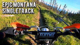 Epic Montana Singletrack  Bangtail Divide Trail  KTM 350 XCF [upl. by Sherie]