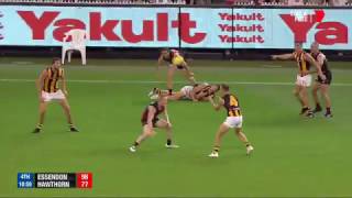 Round 1 AFL  Essendon v Hawthorn Highlights [upl. by Cesaro]