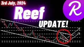 Reef Crypto Coin Update  3rd July 2024 [upl. by Lyon207]