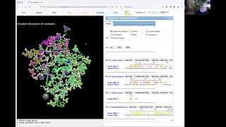 Using iCn3D to look at hydrophobicity [upl. by Ahsinrad]