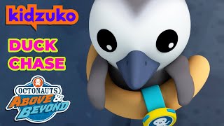 Octonauts Above amp Beyond  🦆 Duck Duck Goose Chase 🪺  Compilation  Kidzuko​ [upl. by Gilles]