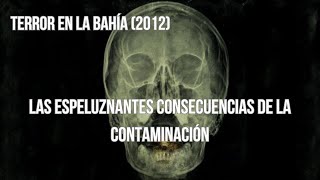 El siniestro mecanismo de defensa de la naturaleza  Isópodos mutantes  Terror en la bahía 2012 [upl. by Rizzi498]