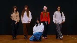 NewJeans  OMG Dance Practice Mirrored 4K [upl. by Haggai]