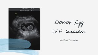 IVF with Donor Eggs Success  First Trimester [upl. by Mick969]