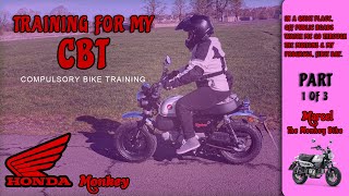 Training for CBT compulsory Bike Training 1 [upl. by Akimas]