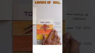 Layers of Soil  Soil Layer  मिट्टी की परत  mittee kee parat  Shetkari Shorts [upl. by Engeddi854]