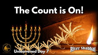 The Count is On  Unleavened Bread Day 7 [upl. by Dorina]