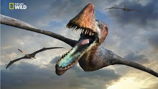 National Geographic  Flying Sky Monsters Pterosaur  New Documentary HD 2018 [upl. by Nata894]