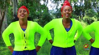 New Ethiopian Music  SHAGGAR GALUUFANII  Bohaara Birahaanu [upl. by Laerol]