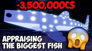 I Spent 3500000C Appraising Whale Shark 😱  Fisch Roblox [upl. by Aerdnod]