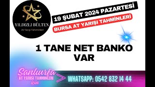 19 Şubat 2024 Pazartesi Bursa At Yarışı Tahminleri [upl. by Gennaro810]