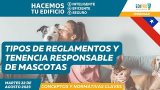 Tipos de Reglamentos y Tenencia Responsable de Mascotas  EdiPro [upl. by Letsirc]