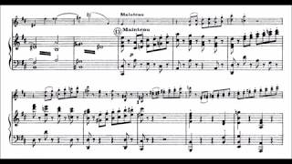 Reynaldo Hahn  Violin Concerto in D major audio  sheet music [upl. by Anoel]