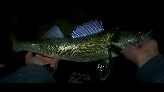 Shore Fishing Winter Walleye Crank Baits [upl. by Gustave326]