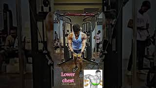 Affective Lower chest workout 🔥🔥motivation shortsvideo gym chest 🙏 [upl. by Neyugn]