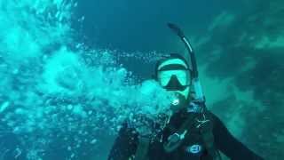 Scuba diving in Stara Novalja Croatia [upl. by Egni]