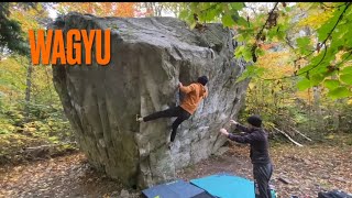 Wagyu V5 ✅ KAMOURASKA 🇨🇦 Bouldering 🪨 [upl. by Wilhelmine272]