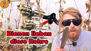 Kostenlos Nisthilfe für Wildbienen bauen [upl. by Notnel]