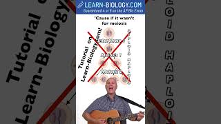 If it wasnt for Meiosis From Mr Ws Meiosis Song [upl. by Hen]