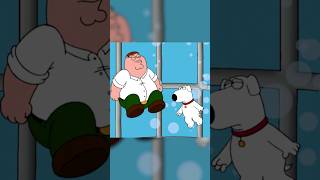 Beer that never goes flat petergriffin familyguyclips familyguy [upl. by Phio656]