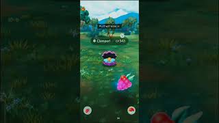 I got shiny clamperl in wildshorts pokemongo shinypokemon [upl. by Eglanteen]