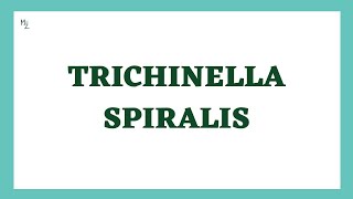 Trichinella spiralis Life Cycle  TrichinellosisTrichinosis  Trichna Worm Infection  Parasitology [upl. by Ennayd]