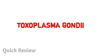 Toxoplasma gondii  Parasitology  MBBS [upl. by Alig]