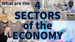 The 4 Sectors of the Economy  Think Econ [upl. by Egidius682]