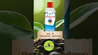 kasu b fungicide uses in marathi  Bactericide Fungicide 🔝🌱🔥 fungicides [upl. by Yetti]