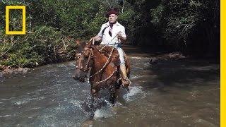 Horses and Solitude Inside the Life of a Brazilian Gaúcho  Short Film Showcase [upl. by Andrel]