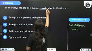 In an embryo sac the cells that degenerate after fertilisation are [upl. by Moguel]