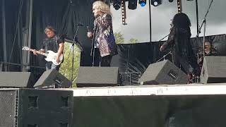 Dr and The Medics  Spirit In The Sky Live 2023 Festival On The Hills [upl. by Osner]