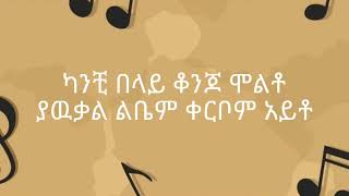 እዮብ መኮንን ምርጥ የሙዚቃ ስብስብ  Eyob Mekonnen Best Music Collection [upl. by Ashly]