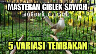 5 VARIASI SUARA CIBLEK SAWAH GACOR  COCOK BUAT MASTERAN [upl. by Bronwen399]