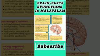 Gkbrain PARTSamp FUNCTIONS INmalayalam trendingshorts sciencelgs gkquiz lgsclasses psctips [upl. by Nylegna]