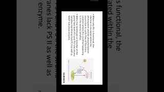 Cyclic And NonCyclic Photophosphorylation Class 11 youtubeshorts shortvideo shorts biology [upl. by Atsyrc]