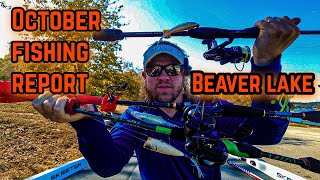 Octobers SHOCKING Beaver Lake Fishing Report Revealed [upl. by Berga]