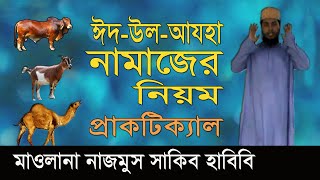 ঈদুল আজহার নামাজের নিয়ম  Eider Namaz Porar Niom  Eid ul Adha Namaz  Nazmus Sakib Habibi [upl. by Maddi6]