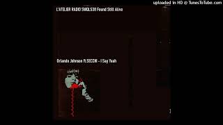 Orlando Johnson ftSECCHI  I Say Yeah [upl. by Eiuqnom163]