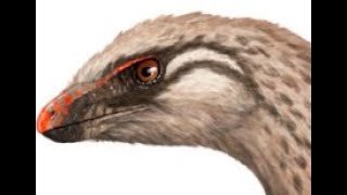 Lesothosaurus Fleet footed Ornithischian from Early Jurassic Southern Africa [upl. by Anidene]