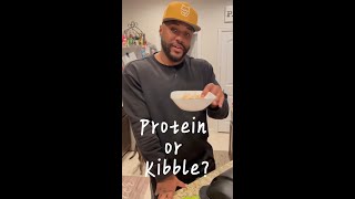 Protein vs Kibble Benefits of Raw or Homemade Meals over Kibble [upl. by Niple1]