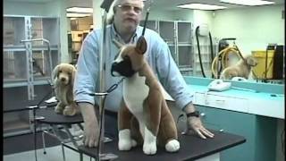 Groomers Helper Training Video [upl. by Marden]