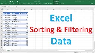 Excel Sorting and Filtering Data [upl. by Daugherty]